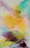 Imbuing, 200x127cm