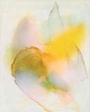 Oil, ink/linen_100x80cm_0222_014